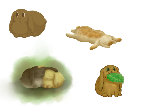 Bunny Sketches