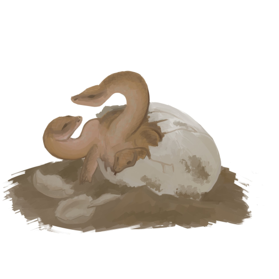 Hatching Hydra