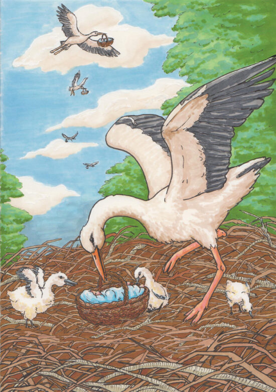 Stork Card - Complete