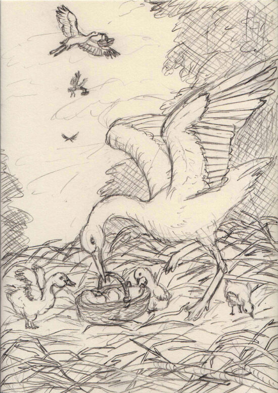 Stork Card - Sketch
